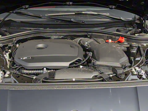 2025�� 225L M�˶���װ