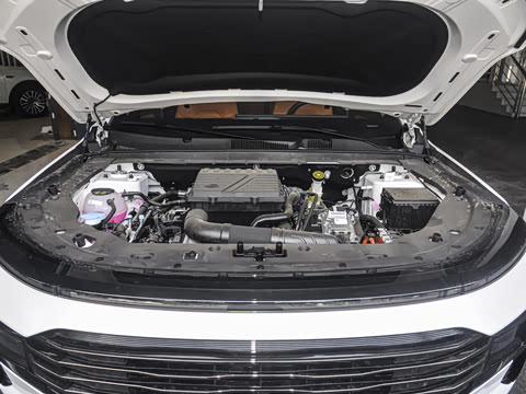 2025�� ������ 5��