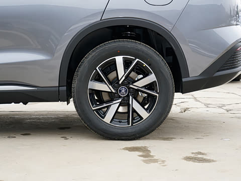 2024�� ��ҫ�� DM-i 71KM��Խ��