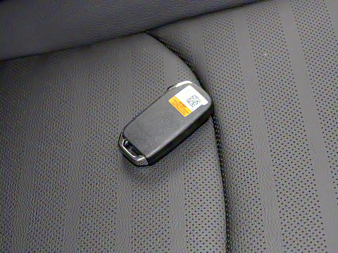 2024�� 1.5L CVT����������