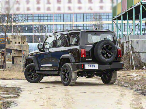 2025�� 2.0T ��ս��