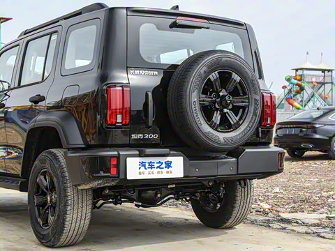 2025�� 2.0T ��ս��