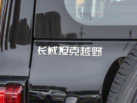 2025�� 2.0T ��ս��