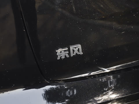 2025�� 636Max����� 5��