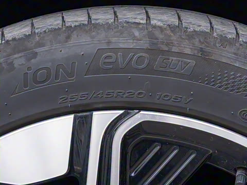 2024�� ��������������