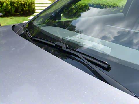 2026�� �������̼�����