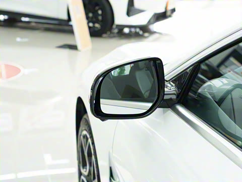 2025�� �������̰� 230�콢��