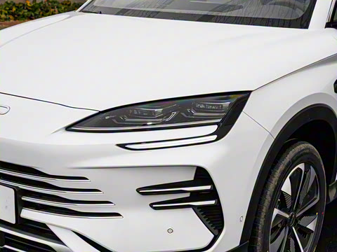 2025�� DM-i �Ǽݰ� 112KM ������