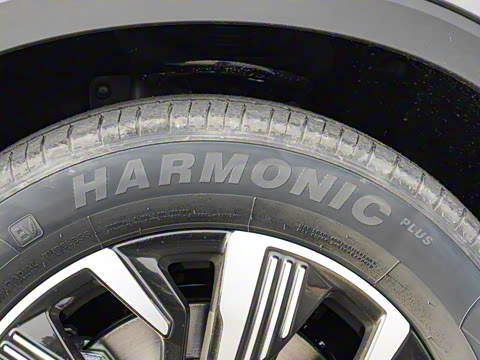 2025�� DM-i �Ǽݰ� 115KM������