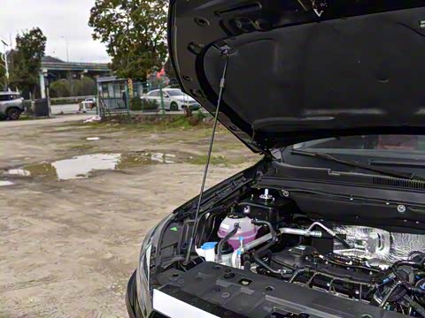 2025�� 1.5T �ֶ���Խ�� 5��