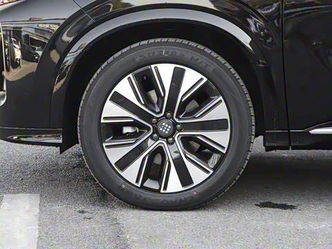 2025�� 165km ���������ж��ư� 7��