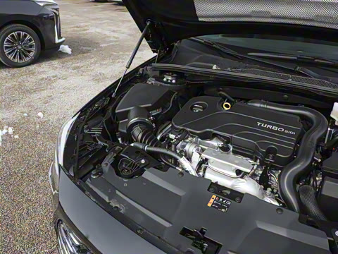 2024�� �Ŀ� 25T ������