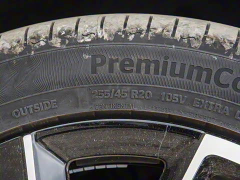 2025�� Max�����