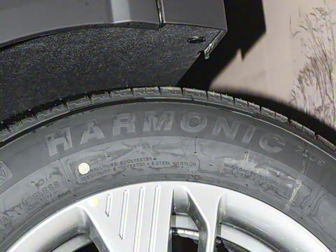 2025�� 565km ������