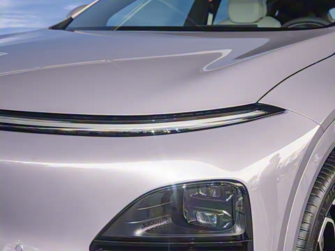 2025�� 725 �������� Max �콢��