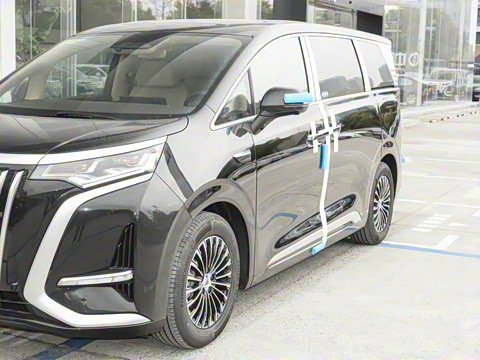 2025�� EV ��������