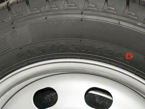 2025�� 365KM ��ҵ�� 7��