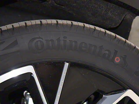 2025�� Max �����