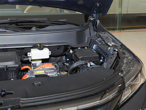 2026�� 165km ������������Max 5��