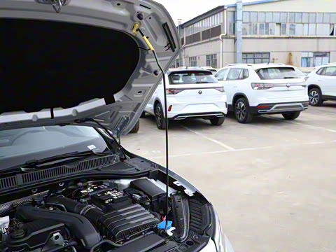 2025�� 300TSI DSG׿Խ��