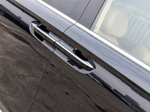 2025�� EV �������������