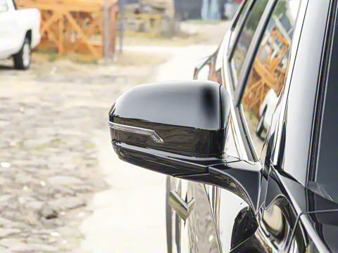 2025�� 290TGDI DCT�˷�� 