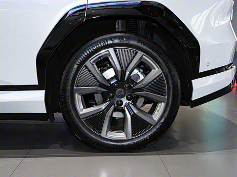 2025�� ����������Pro