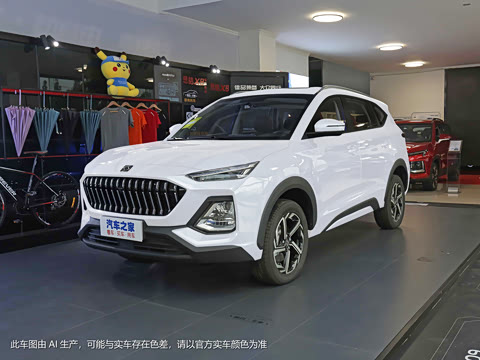 2021�� 300T DCTȫ�������� 6��