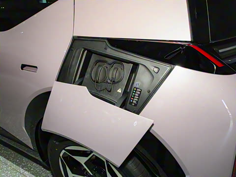 2025�� ����������