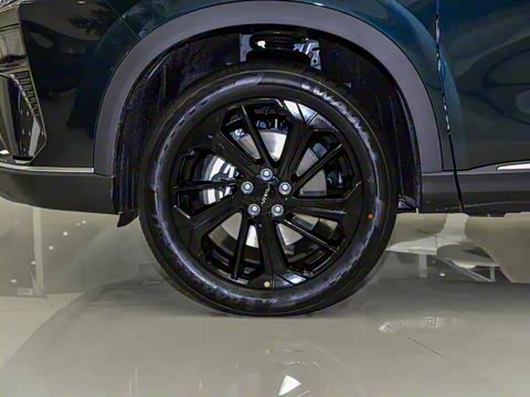 2025�� ���ն��� 1.5T �����