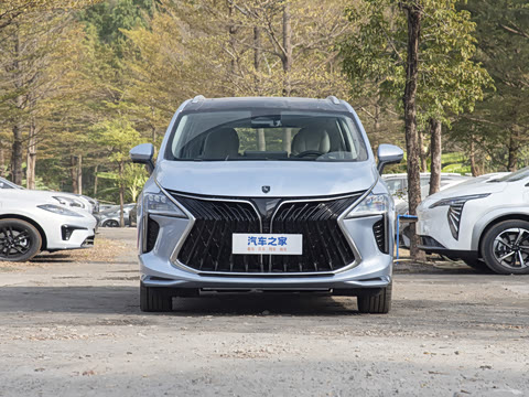 2025�� PHEV ������ 7��