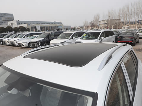 2025�� ������ 300TSI