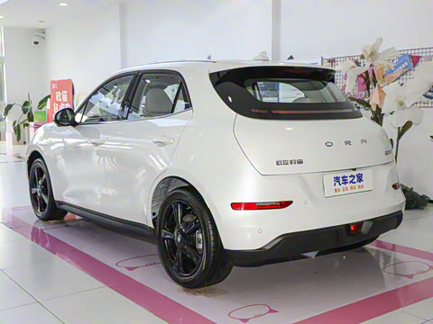 2024�� 501km ������