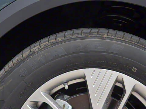 2025�� 445km ��ѡ��