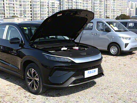 2025�� �ڶ��� DM-i 115KM��Խ��