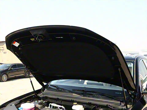 2025�� �ڶ��� DM-i 115KM��Խ��