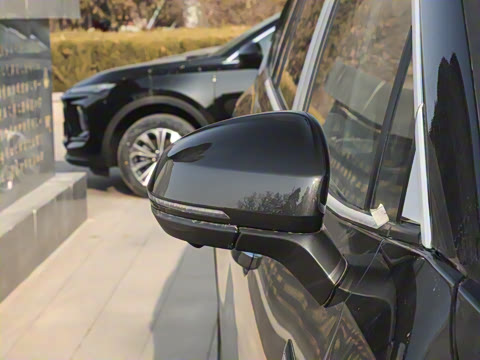 2025�� 380TSI ���������Ѿ�Pro  ������ 7��