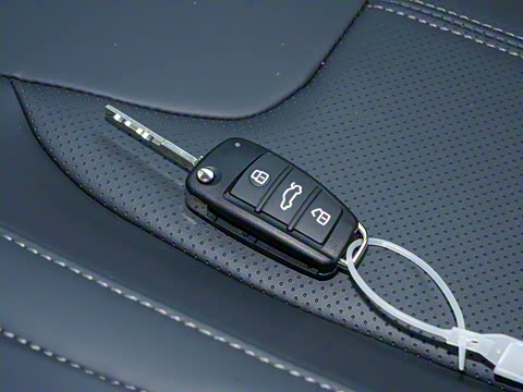 2025�� ׿Խ�� 1.5L �ֶ�������