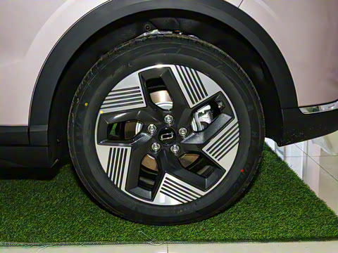 2025�� 565km ������