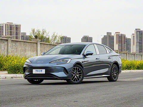 2025�� �Ǽݰ� DM-i 1.5T 125km �콢��