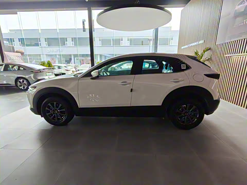 2024�� 2.0L �ֶ�������