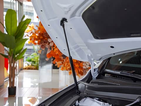 2025�� 350h ����������