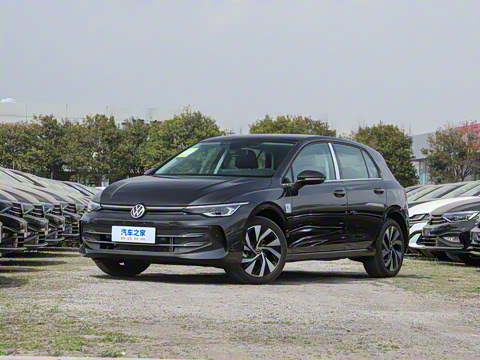 2025�� 300TSI Pro