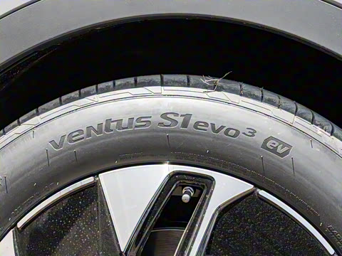 2025�� ������