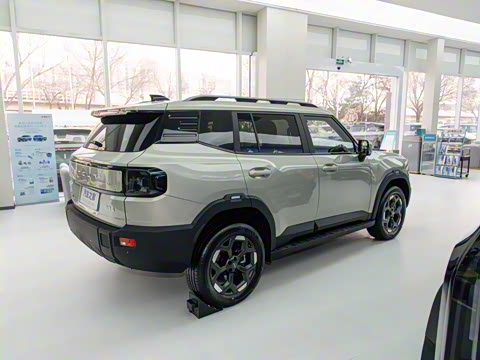 2025�� 2.0TD ��Խ