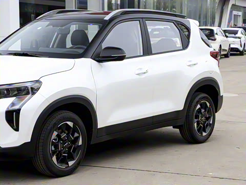 2024�� 1.5L ����������