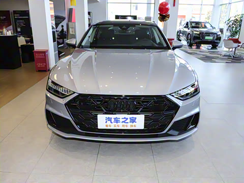 2025�� 45 TFSI ��ѡ��