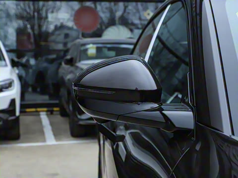 2024�� Pro+�����