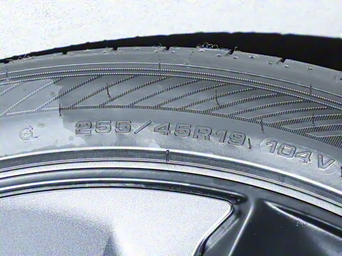 2025�� �������� �׷���