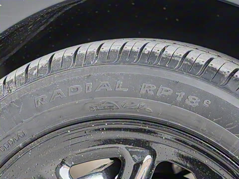 2025�� 310������